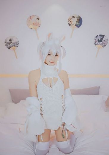 茶杯狐电视剧全集免费观看_1080P高清视频播放
