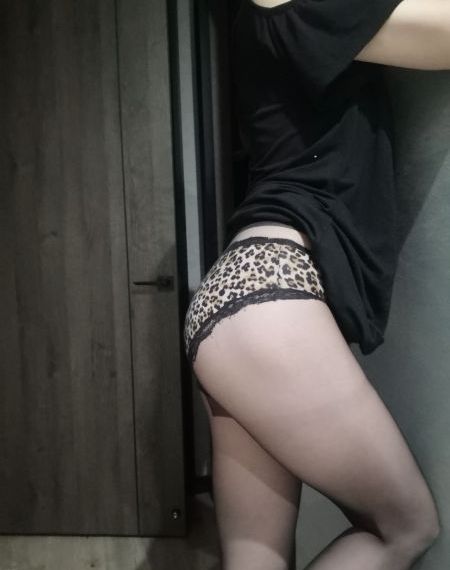 一主二仆电视剧全集免费观看_DVD高清在线