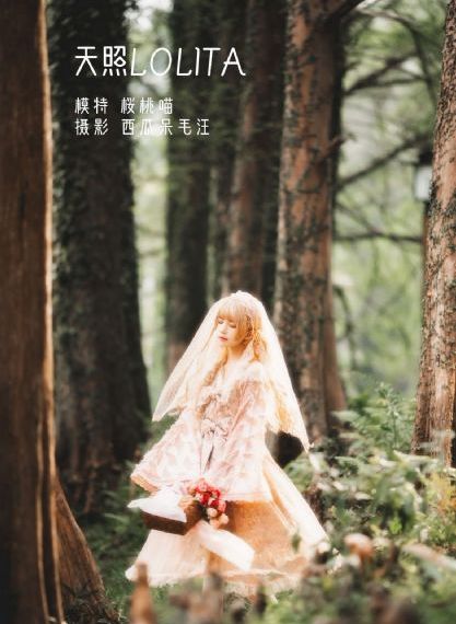 纪晓岚第三部_1080神马影院手机在线