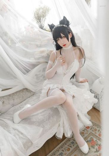 《西行纪》樱花动漫_DVD在线观看视频