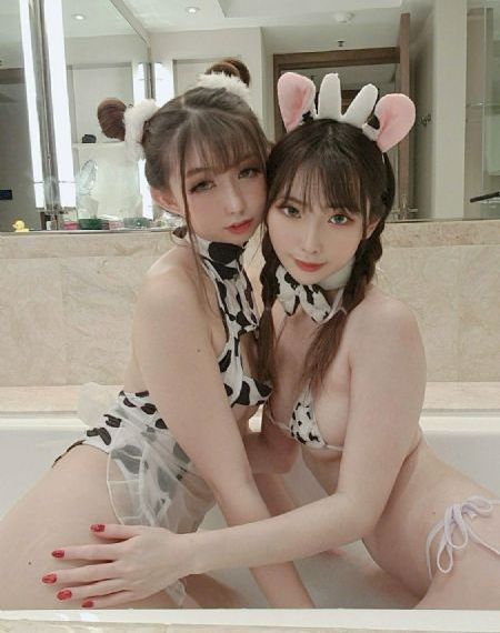 红楼梦徐锦江_DVD免费电视剧
